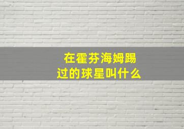 在霍芬海姆踢过的球星叫什么