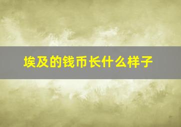 埃及的钱币长什么样子