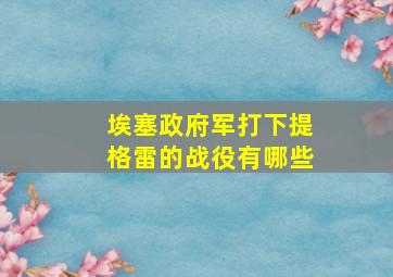 埃塞政府军打下提格雷的战役有哪些