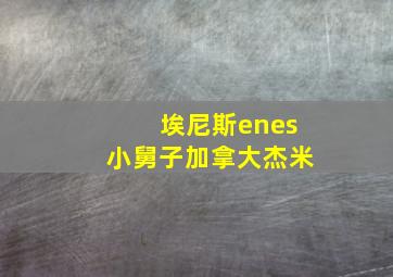 埃尼斯enes小舅子加拿大杰米