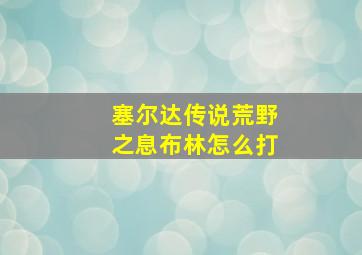 塞尔达传说荒野之息布林怎么打