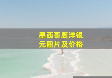 墨西哥鹰洋银元图片及价格