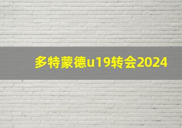 多特蒙德u19转会2024