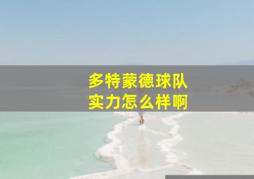 多特蒙德球队实力怎么样啊