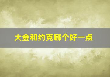 大金和约克哪个好一点