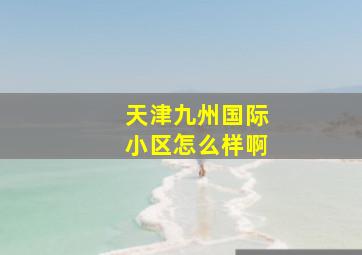 天津九州国际小区怎么样啊