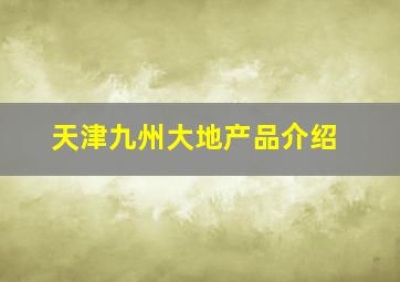 天津九州大地产品介绍