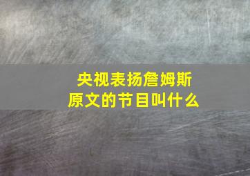 央视表扬詹姆斯原文的节目叫什么