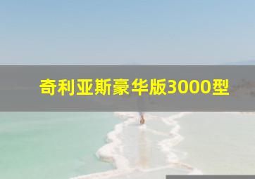 奇利亚斯豪华版3000型