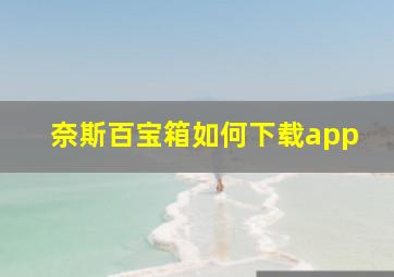 奈斯百宝箱如何下载app