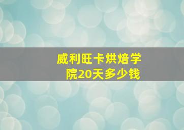 威利旺卡烘焙学院20天多少钱