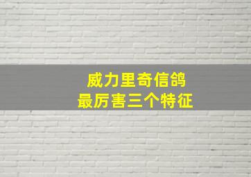 威力里奇信鸽最厉害三个特征