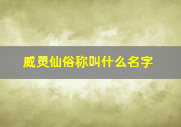 威灵仙俗称叫什么名字