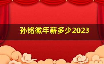 孙铭徽年薪多少2023