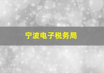 宁波电子税务局