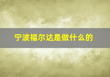 宁波福尔达是做什么的