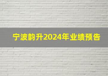 宁波韵升2024年业绩预告