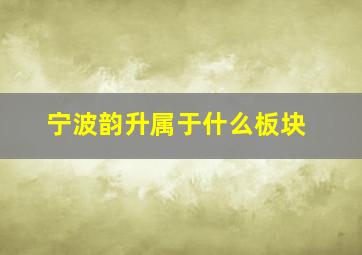 宁波韵升属于什么板块