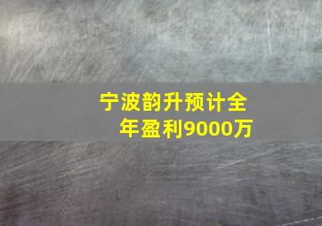 宁波韵升预计全年盈利9000万