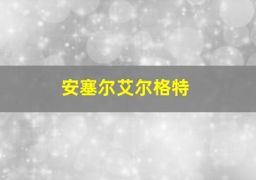 安塞尔艾尔格特