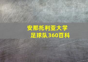 安那托利亚大学足球队360百科