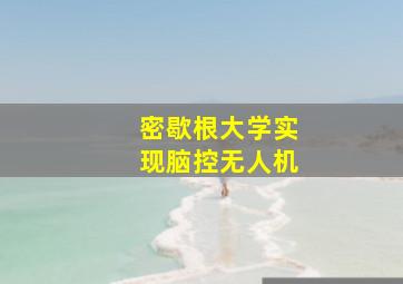 密歇根大学实现脑控无人机