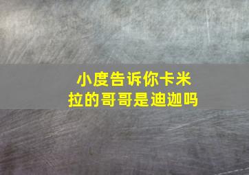 小度告诉你卡米拉的哥哥是迪迦吗