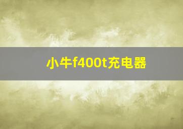 小牛f400t充电器