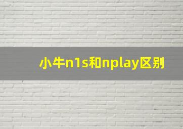 小牛n1s和nplay区别