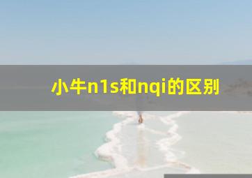 小牛n1s和nqi的区别