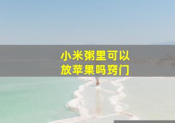 小米粥里可以放苹果吗窍门