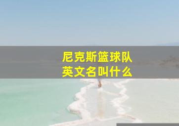 尼克斯篮球队英文名叫什么