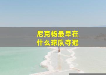 尼克杨最早在什么球队夺冠