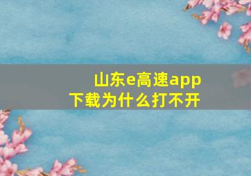 山东e高速app下载为什么打不开