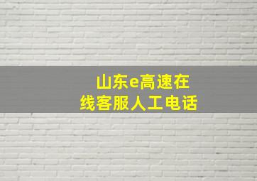 山东e高速在线客服人工电话