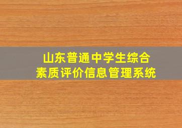 山东普通中学生综合素质评价信息管理系统