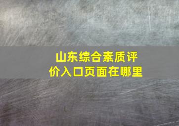 山东综合素质评价入口页面在哪里