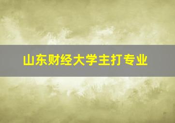 山东财经大学主打专业