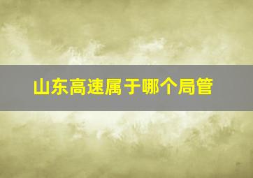 山东高速属于哪个局管