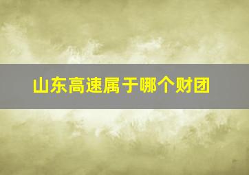 山东高速属于哪个财团