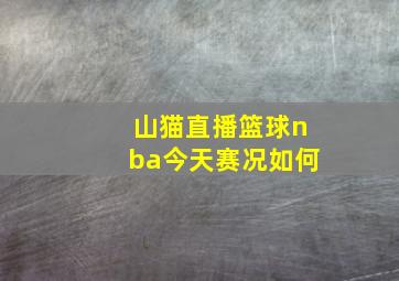 山猫直播篮球nba今天赛况如何