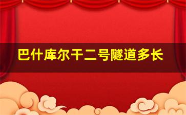 巴什库尔干二号隧道多长