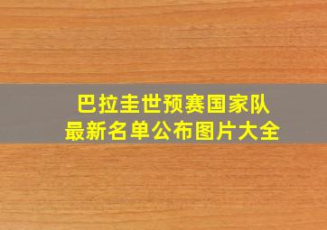 巴拉圭世预赛国家队最新名单公布图片大全