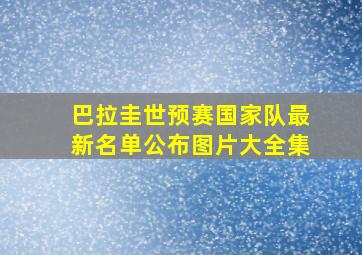 巴拉圭世预赛国家队最新名单公布图片大全集