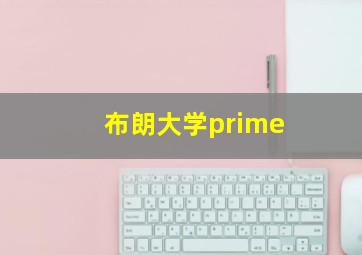 布朗大学prime