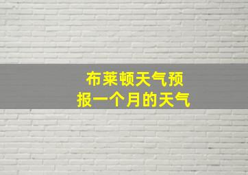 布莱顿天气预报一个月的天气