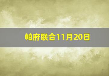 帕府联合11月20日