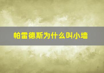 帕雷德斯为什么叫小墙