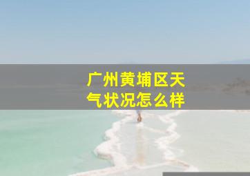 广州黄埔区天气状况怎么样