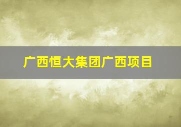 广西恒大集团广西项目